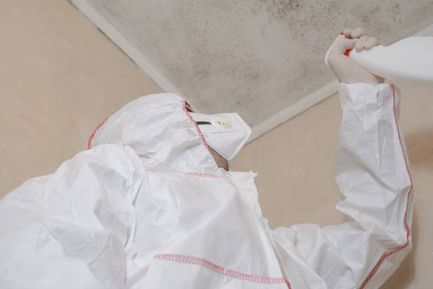 Best Mold Removal Process  in Plainview, TN